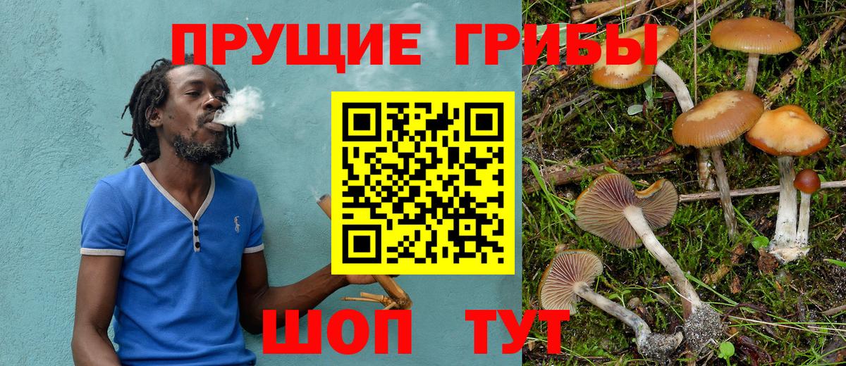 Галлюциногенные грибы мицелий Трёхгорный