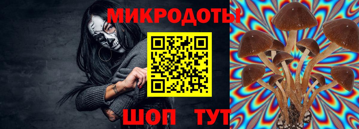 Трёхгорный  Псилоцибиновые грибы мицелий  Вход с VPN  Галлюциногенные грибы GOLDEN TEACHER 